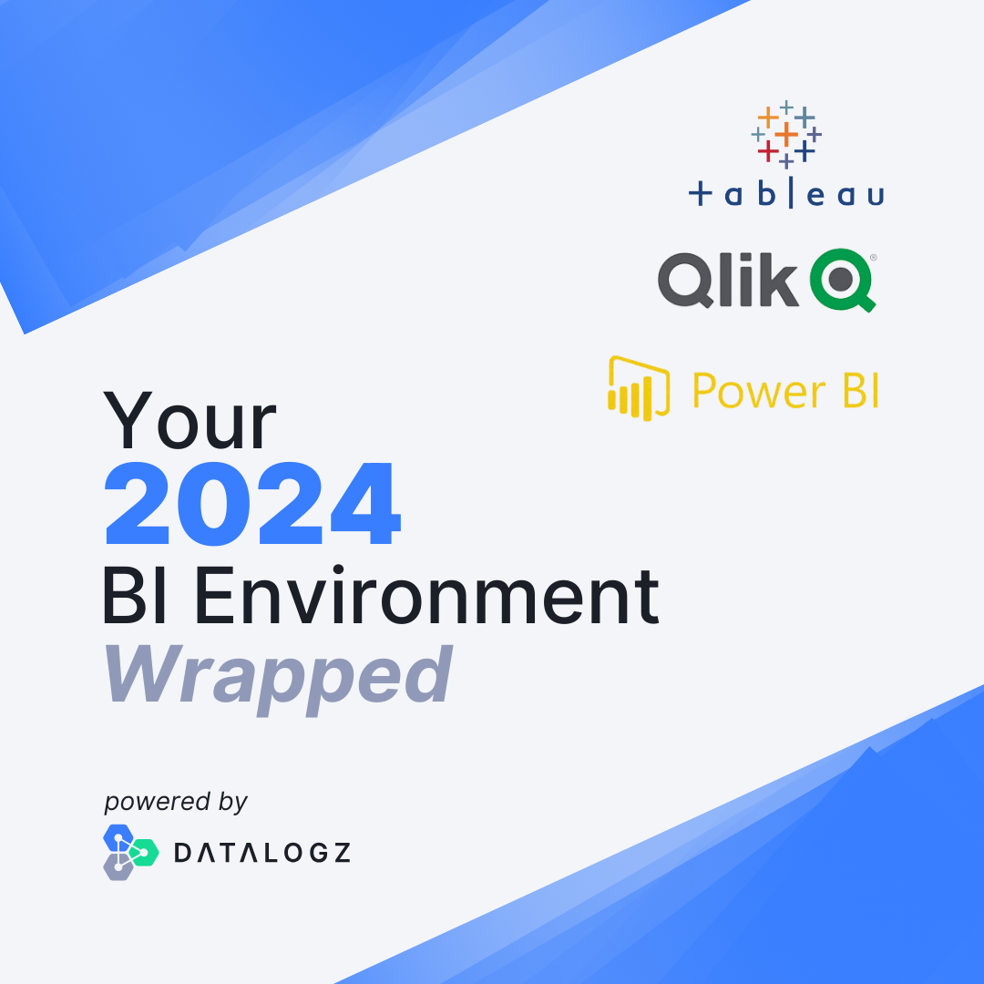 BI Environment Wrapped 2024